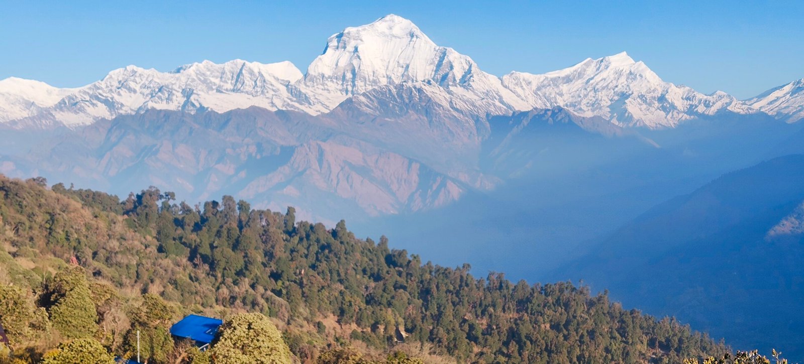 Ghorepani Poon Hill Trek